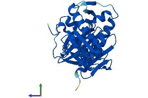 AlphaFold protein structure predicition of Mouse Recombinant Impa1 Protein, UniprotID O55023