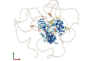 AlphaFold protein structure predicition of Mouse Recombinant Rad54l2 Protein, UniprotID Q99NG0