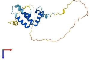 AlphaFold protein structure predicition of Mouse Recombinant Dnajc12 Protein, UniprotID Q9R022