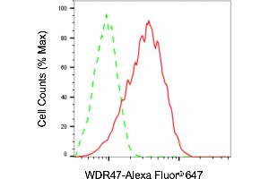 Flow cytometric analysis of WDR47 expression in HaCaT cells using WDR47 antibody (ABIN7800854), 1:2,000). (WDR47 anticorps)