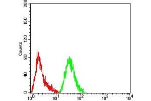 Flow cytometric analysis of Hela cells using PCK2 mouse mAb (green) and negative control (red).