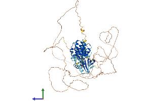 AlphaFold protein structure predicition of Mouse Recombinant Snrk Protein, UniprotID Q8VDU5
