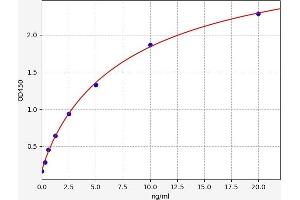 Typical standard curve (ARHGDIB Kit ELISA)