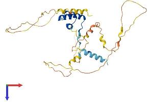 AlphaFold protein structure predicition of Mouse Recombinant Otp Protein, UniprotID O09113