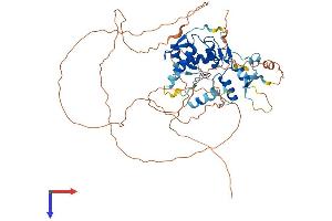 AlphaFold protein structure predicition of Human Recombinant ZNF280B Protein, UniprotID Q86YH2