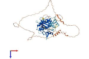 AlphaFold protein structure predicition of Mouse Recombinant Stk35 Protein, UniprotID Q80ZW0