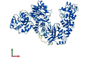 AlphaFold protein structure predicition of Human Recombinant TCAF1 Protein, UniprotID Q9Y4C2