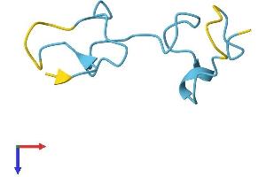 AlphaFold protein structure predicition of Human Recombinant MT1HL1 Protein, UniprotID P0DM35