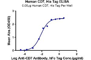 Immobilized Human CD7,His Tag at 0.