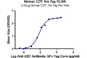 Immobilized Human CD7,His Tag at 0. (CD7 Protein (CD7) (His-Avi Tag))