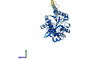 AlphaFold protein structure predicition of Mouse Recombinant Hs2st1 Protein, UniprotID Q8R3H7