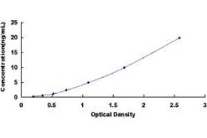 Typical standard curve (SSH2 Kit ELISA)