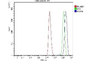 Flow Cytometry analysis of THP-1 cells using anti-ERp72/PDIA4 antibody (ABIN7602103).