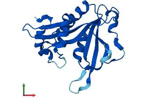 AlphaFold protein structure predicition of Mouse Recombinant Naa20 Protein, UniprotID P61600