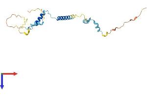 AlphaFold protein structure predicition of Human Recombinant CCDC32 Protein, UniprotID Q9BV29