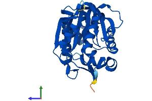 AlphaFold protein structure predicition of Human Recombinant NNMT Protein, UniprotID P40261