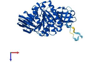 AlphaFold protein structure predicition of Human Recombinant CLP1 Protein, UniprotID Q92989