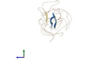 AlphaFold protein structure predicition of Human Recombinant NEFH Protein, UniprotID P12036