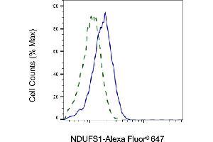 Validation of NDUFS1 knockdown using flow cytometry.