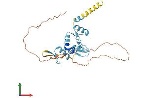 AlphaFold protein structure predicition of Human Recombinant OVOL2 Protein, UniprotID Q9BRP0