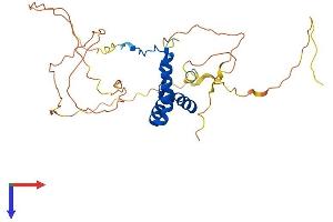 AlphaFold protein structure predicition of Mouse Recombinant Sox2 Protein, UniprotID P48432