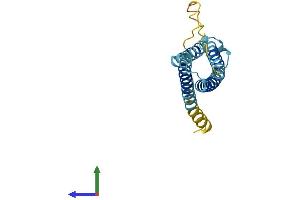 AlphaFold protein structure predicition of Human Recombinant CMTM6 Protein, UniprotID Q9NX76