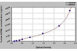 Typical standard curve (ADMA Kit ELISA)