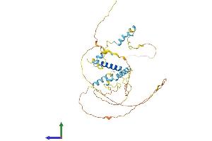 AlphaFold protein structure predicition of Mouse Recombinant Fam110b Protein, UniprotID Q8C739