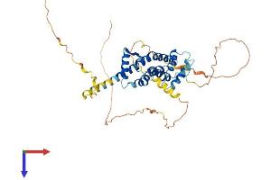 AlphaFold protein structure predicition of Mouse Recombinant Prr5l Protein, UniprotID A2AVJ5