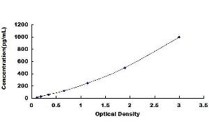 Typical standard curve (CXCL2 Kit ELISA)