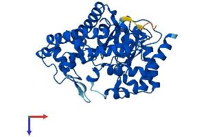 AlphaFold protein structure predicition of Human Recombinant UROD Protein, UniprotID P06132