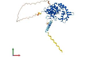 AlphaFold protein structure predicition of Mouse Recombinant Hs3st3a1 Protein, UniprotID Q8BKN6