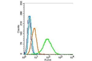 HeLa cells probed with PALB2 Polyclonal Antibody, Unconjugated  at 1:100 for 30 minutes followed by incubation with a conjugated secondary (PE Conjugated) (green) for 30 minutes compared to control cells (blue), secondary only (light blue) and isotype control (orange).