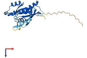 AlphaFold protein structure predicition of Human Recombinant RAB39A Protein, UniprotID Q14964