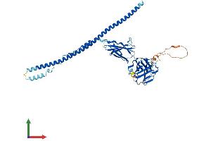 AlphaFold protein structure predicition of Mouse Recombinant Fsd1 Protein, UniprotID Q7TPM6