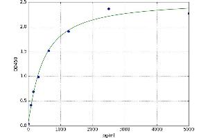 CD8 (CD8) ELISA Kit