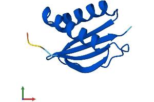 AlphaFold protein structure predicition of Human Recombinant DYNLL2 Protein, UniprotID Q96FJ2