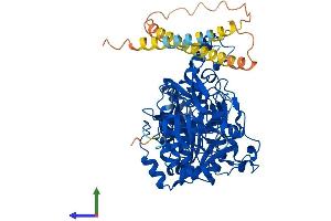 AlphaFold protein structure predicition of Human Recombinant GALNT8 Protein, UniprotID Q9NY28