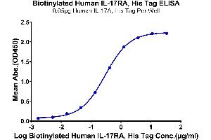 Immobilized Human IL-17A at 0.