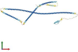 AlphaFold protein structure predicition of Mouse Recombinant Cep55 Protein, UniprotID Q8BT07