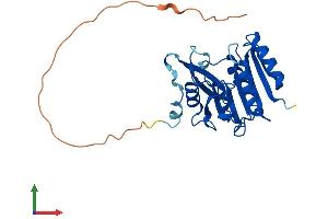 AlphaFold protein structure predicition of Human Recombinant METTL21C Protein, UniprotID Q5VZV1