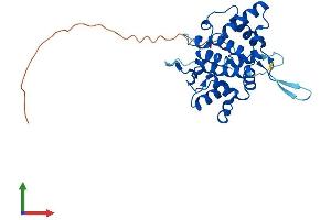 AlphaFold protein structure predicition of Mouse Recombinant Golph3l Protein, UniprotID Q8R088