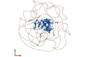 AlphaFold protein structure predicition of Mouse Recombinant Hipk1 Protein, UniprotID O88904