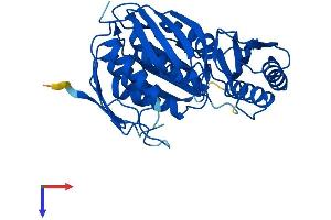 AlphaFold protein structure predicition of Human Recombinant RTCA Protein, UniprotID O00442