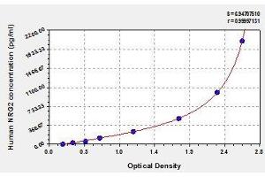Typical standard curve (Neuregulin 2 Kit ELISA)