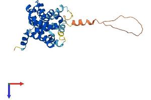 AlphaFold protein structure predicition of Mouse Recombinant Tmem38b Protein, UniprotID Q9DAV9