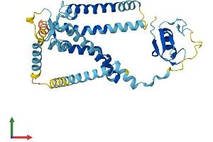 AlphaFold protein structure predicition of Mouse Recombinant Pex12 Protein, UniprotID Q8VC48