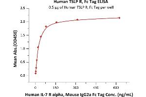 Biotinylated Human TSLP (R127A, R130A), His,Avitag (ABIN6923165,ABIN6938832) immobilized at 2 μg/mL (100 μL/well) via precoated 5 μg/mL (100 μL/well) of Human TSLP R, Fc Tag (ABIN5954970,ABIN6253631), can bind can bind Human IL-7 R alpha, Mouse IgG2a Fc Tag (ABIN5674632,ABIN6253694) with a linear range of 1-20 ng/mL (Routinely tested). (CRLF2 Protein (AA 25-231) (Fc Tag))