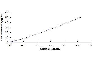 Typical standard curve (LALBA Kit ELISA)