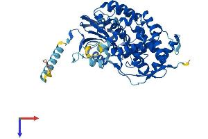 AlphaFold protein structure predicition of Mouse Recombinant Cyp7b1 Protein, UniprotID Q60991